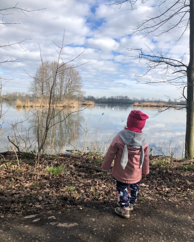 Jistebnické rybníky 🦢

Rybníků je dokupy dvacet pět a všechny je možnost různě objet či obejít! Jsou součástí CHKO Poodří, takže bacha na banánové slupky! 🍌

Procházka je to ale krásná! Pokocháte se nejen přírodou, ale třeba labutěmi, které strach jen tak nepřepadne, nebo takovým šnekem, jako naše holčička. 
Gurmáni se můžou ztratit v medvědím česneku.
V hromadě medvědího česneku!
.
.
.
#vyletypoceku #vyletysdetmi #zivotsdetmi #cestujemesdetmi
