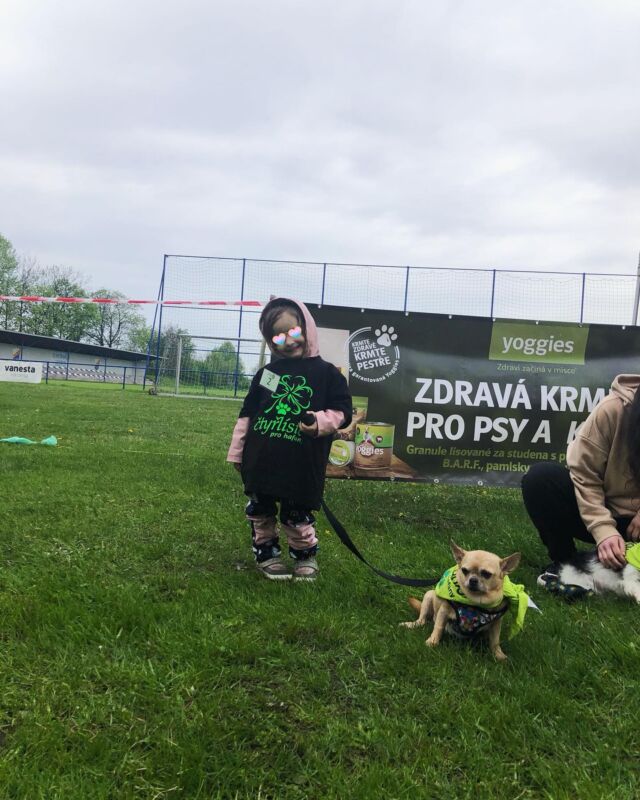 Voříškiáda 2023 🏆
Každý rok, již pět let, na této krásné, milé akci vystavujeme naše pejsky, představujeme naši práci a stavíme stánek, ve kterém nás zaručeně najdete, zodpovíme Vám otázky a necháme umazlit naše svěřence. 

Letos naše holčička odjela bez poháru, ale stejně jsme na stupních vítězů. 
Děkujeme a za rok se budeme těšit zas! 🙏🏻🍀♥️

Doufám, že to tu naši holčičku se mnou bude bavit, jen co to půjde, nejdéle jak jen může.

➡️ Naše ONTA HLEDÁ DOMOV! ♥️
.
.
.
#voriskiada2023 #nekupujadoptuj